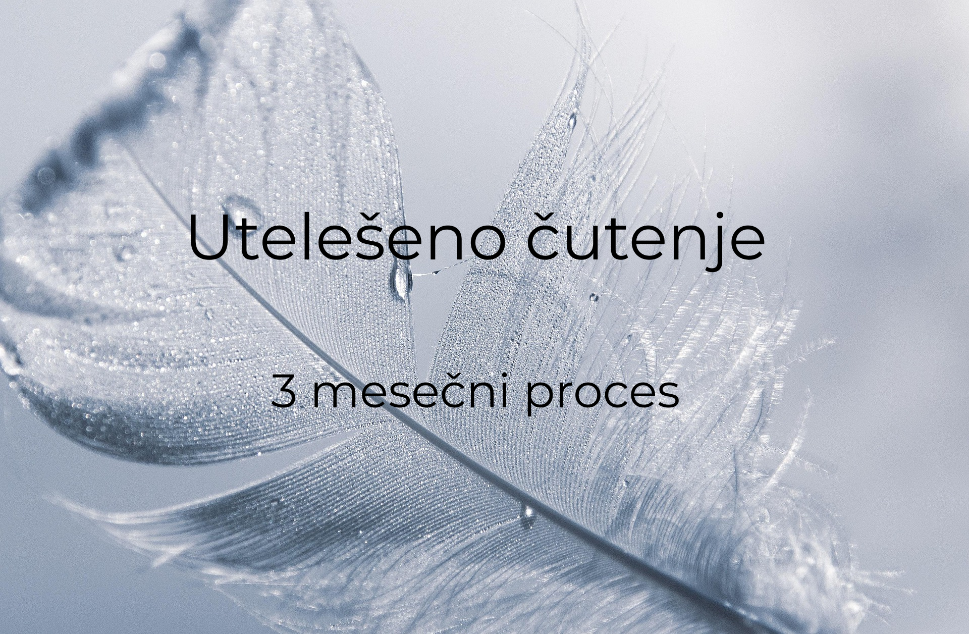 Utelešeno čutenje - 3-mesečni proces skozi telo